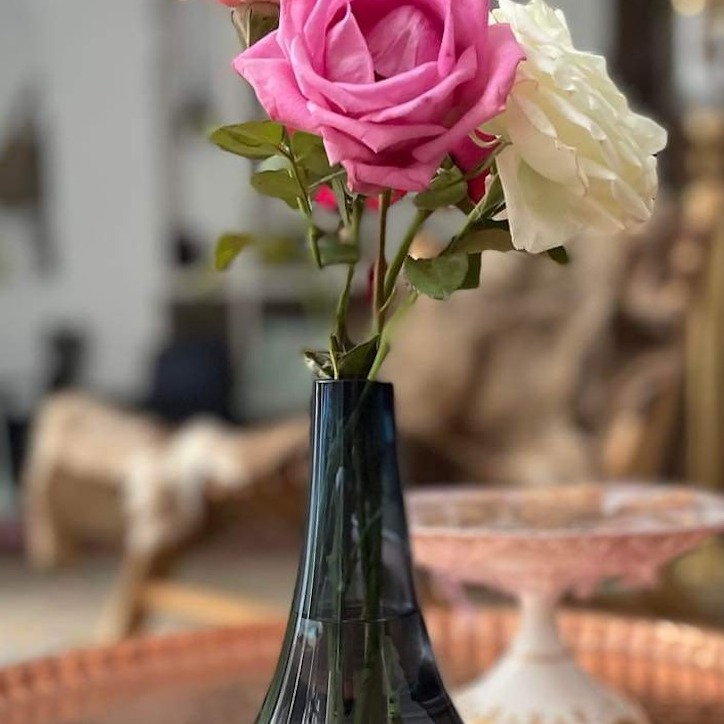 Roses for the LGBTQ